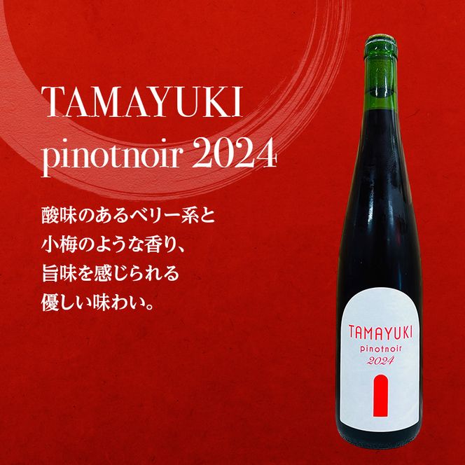【北海道仁木町 ふるさと納税限定ワインセット】泡・白・赤　３本セット[  3種 お酒 酒 果実酒 晩酌 葡萄 ぶどう ブドウ 料理 食事 お祝い 北海道 仁木町 ]
