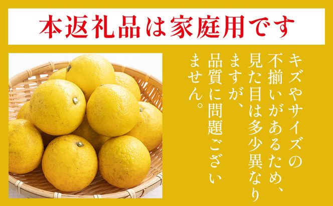 露地 小夏 5kg 家庭用 混合（M〜Lサイズ） フルーツ 果物 くだもの こなつ 5きろ ５キロ わけあり 訳あり 美味しい 高知県 香南市 nm-0005