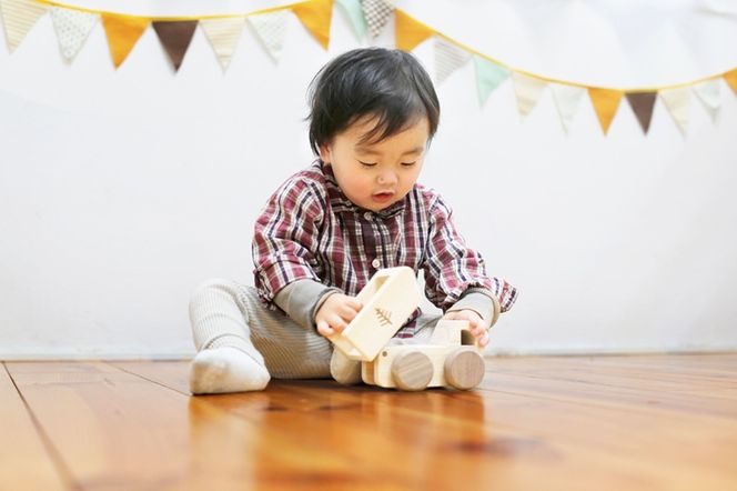 IKONIH オルゴールトトラック ｜ おもちゃ 子供 こども オモチャ 玩具 プレゼント お祝い 木 出産祝い 安全 オーガニックトイ ファーストトイ 車 トラック 大型車 乗り物 アイコニー