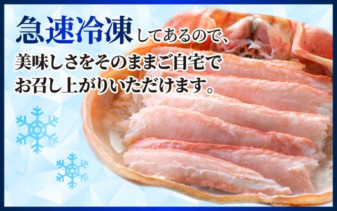 【期間限定・数量限定】高志の紅ガニの甲羅盛り２杯 カニ酢、カニ飯用の出汁付 10月末より発送開始予定 [B-042002]