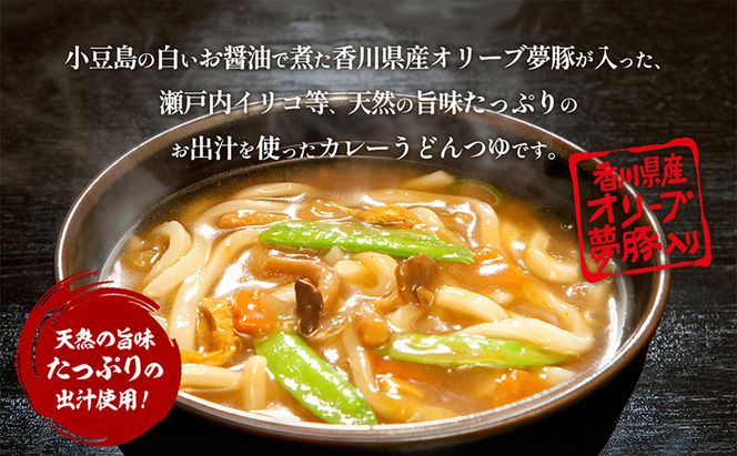 【 小豆島 】小豆島製麺所のおやじが造ったカレーうどんの素 ３個セット（３人前） うどん 饂飩 ウドン カレーうどん カレー 素 レトルト レトルト食品 うどんつゆ つゆ 和風だし 香川 香川県 土庄 土庄町