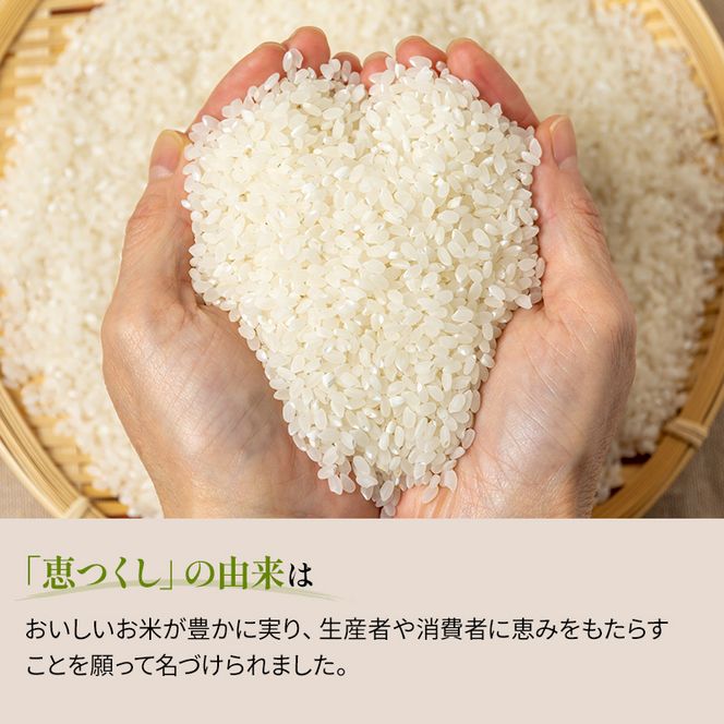 米 10kg 恵つくし 奇跡の一粒 5kg×2 令和7年産 お米 こめ コメ 新品種 