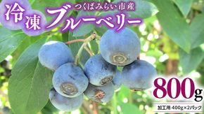 つくばみらい市 産 冷凍 ブルーベリー 800g ( 400g ×2パック ) 国産 農薬無使用 自家農場 果物 就労継続支援 フルーツ おいしい 冷凍ブルーベリー フリーズ ［DG02-NT］