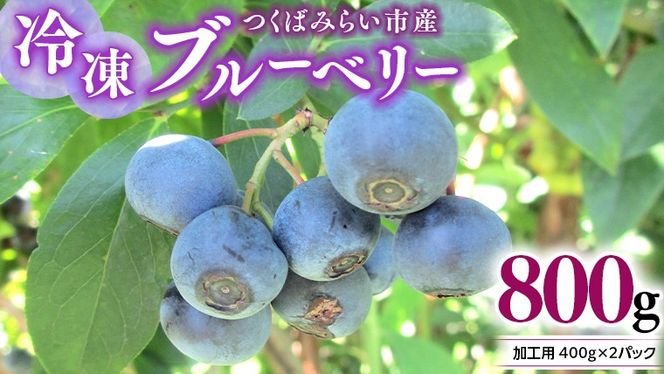 y錧΂݂炢sz΂݂炢s Y Ⓚ u[x[ 800g ( 400g ×2pbN ) Y _򖳎gp Ɣ_ ʕ AJpx t[c  Ⓚu[x[ t[Y mDG02-NTn