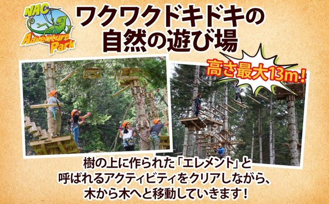【CF】NACアドベンチャーパーク大人1日券 体験チケット 