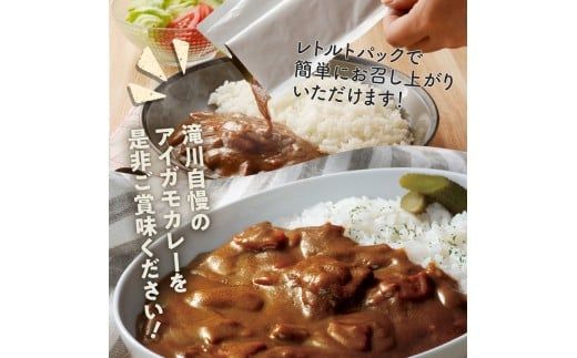 【北海道滝川産あいがも肉使用】アイガモカレー! (6食)