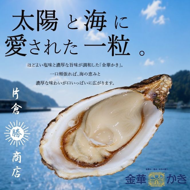 金華かき 女川オイスターファーム レギュラーサイズ 生食可 