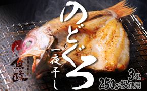 【海鮮の匠　魚政】のどぐろ一夜干し（ノドグロ、のど黒、アカムツ）250g級使用 干し上がり後 175g以上 3尾セット　のどぐろ のど黒 海鮮 魚介 魚介類 日本海産 アカムツ 天然塩 冷凍 干物 一夜干し 脂のり 焼き魚 高級魚 干もの 旬 旨み 凝縮 塩焼き 煮付け 贅沢 濃厚 上質 脂 日本海 個包装 魚政 送料無料　UO01069