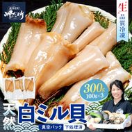 岬だより ＜貝専門店＞ 天然 白ミル貝 100g × 3袋 冷凍 新鮮 海鮮 鮮度 風味 魚介 貝 海の幸 お刺身 寿司 バター焼き ご飯 甘み おつまみ 酒 おすすめ 人気 愛知県 南知多町 三河湾 【離島不可】
