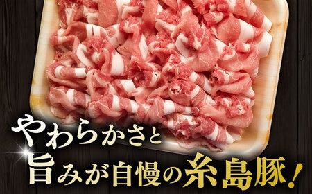 糸島豚 ロース 切り落とし 1kg 糸島市 / ヒサダヤフーズ　豚肉 豚[AIA065]