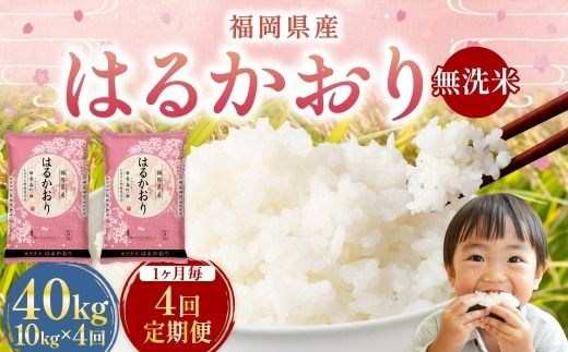 【 1ヶ月毎4回定期便 】 【 無洗米 】 はるかおり 10kg （ 5kg × 2袋 ） 計40kg お米 米 こめ コメ 白米 白飯 飯 ご飯 おにぎり 和食 国産 福岡県産 定期 定期配送