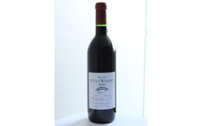 スタイルワイナリー２０２２野生ぶどう　720ml 【kiku0001】