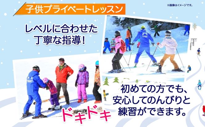 北海道 スキー スノーボード プライベート レッスン 1日券 1枚 1インストラクター グランヒラフスキー場 スキーレッスン 子供 大人 冬季 アクティビティ スノボ パウダースノー ヒラフ ひらふ ニセコ NAC 体験チケット スキー体験 スノボ体験 