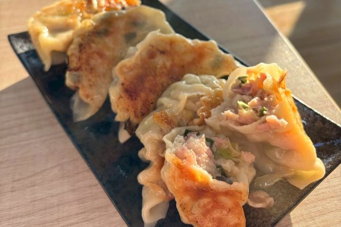 大餃子 計200個 (20個×10袋)｜中華料理 点心 中華街 [0692]