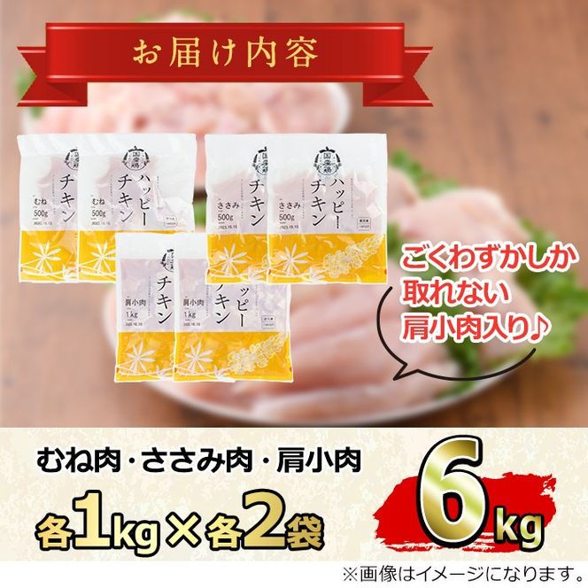 【0124806a-2602】＜2026年2月発送予定＞国産若鶏肉ヘルシーセット(合計6kg・ムネ、ささみ、肩小肉) 鶏肉 鳥肉 とり肉 むね肉 おかず 小分け 国産【エビス】