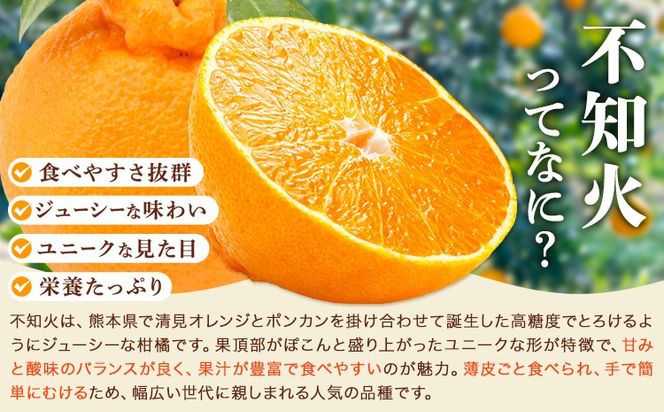 市原さんちの不知火(しらぬい)　1箱(15玉～24玉入り)　市原農園《3月中旬頃出荷予定》【配送不可地域あり】※離島 徳島県 佐那河内村 みかん 柑橘 フルーツ 果物 お取り寄せ プレゼント 送料無料---sanagouchi_ine_1_1hk---