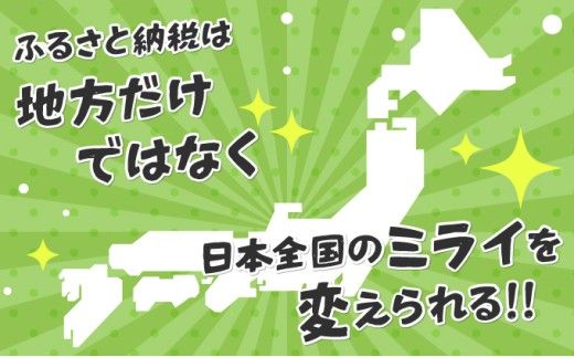 【ふるさと納税】【寄付額が選べる】日本財団災害復興支援特別基金への寄附【災害支援】（返礼品なし）【MRI-AiD】