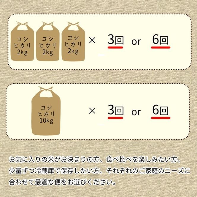 【定期便】令和7年産 新米 京都丹波米こしひかり6kg (2kg×3袋) ×6回 計36kg◇◆ 米 6kg 6ヶ月 白米 6回定期便 ※精米したてをお届け 米・食味鑑定士厳選 コシヒカリ 京都丹波産 契約栽培米 ※北海道・沖縄・離島への配送不可