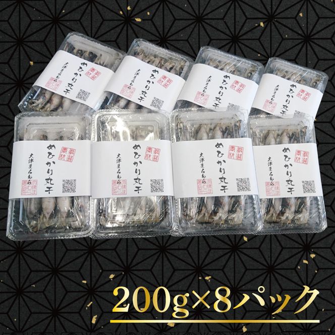 天日干し めひかり丸干し 200g×8パック【メヒカリ 干物 ひもの 魚 おつまみ 冷凍 おかず 茨城県 北茨城市】（AI202）