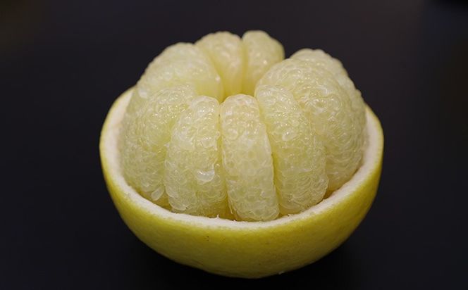 土佐文旦　家庭用3kg（池上果樹園）