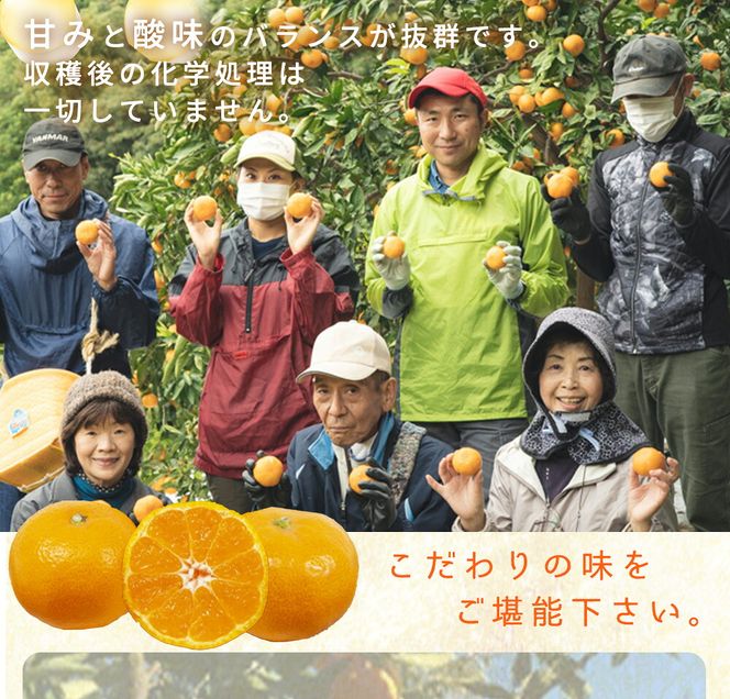 有田みかん 特撰秀 約7kg (Sサイズ)_ZP6108n