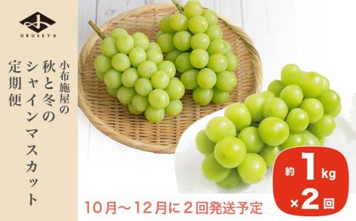 秋と冬のシャインマスカット2回定期便 約1kg × 2回 合計 約2kg ［小布施屋］ フルーツ ぶどう 果物 くだもの 葡萄 ブドウ 長野県産 信州産 クール便 冷蔵便 数量限定 先行予約 送料無料 令和8年産 【2026年10月～12月発送】