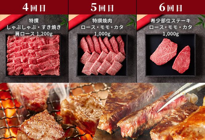 992.【和牛セレブ（鳥取和牛定期便：6回）】プラチナクラス《検索用ワード:牛肉 すき焼き ステーキ しゃぶしゃぶ 焼き肉 焼肉》 313726_BM021