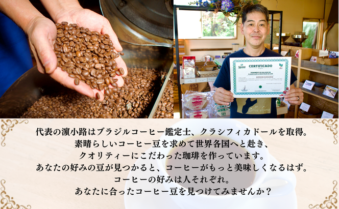 ブラジル珈琲鑑定士おすすめ！ 自家焙煎珈琲 極上 スペシャルティセット ギフト 贈り物 プレゼント 人気 厳選 コーヒー 袋井市 コーヒー豆 珈琲豆 詰め合わせ 
