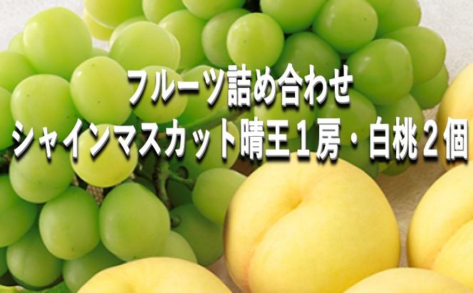 桃 ぶどう 【2026年 早期受付】 フルーツ詰め合わせ シャインマスカット 晴王 １房・ 白桃 ２個 もも ブドウ 葡萄 岡山県産 国産 フルーツ 果物 ギフト
