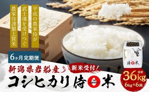【新米受付・令和8年産米】 【定期便 6ヶ月】新潟県村上市岩船産コシヒカリ  精米6kg（2kg×3個セット）×6ヶ月 1050012N