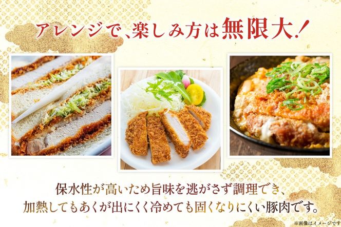 豚肉 宮崎県産豚肉 ロースカツ用 1kg ヒレカツ用 300g 詰め合わせ セット [TRINITY 宮崎県 日向市 452061324] 小分け 冷凍 豚 とんかつ ロースカツ お弁当 おかず