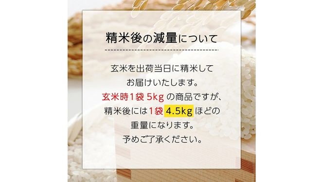 【 定期便 3ヶ月 連続 】【精米日出荷】 令和6年産 関さん「姫ごのみ」 4.5kg 新鮮 米 特別栽培農産物 認定米 お米 白米 精米 ひめごのみ 令和6年産 新米 [AM164us]