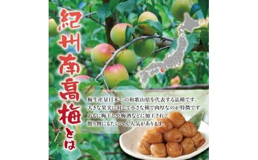 紀州南高梅 つぶれ梅 うす塩【ハチミツ入】塩分10%（500g）なかやまさんちの梅干 / 梅干し 梅干 梅 うめ ウメ【nky017-105k】