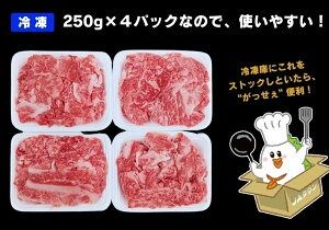 【ふるさと納税】但馬牛 がっせぇ盛り（切落し・1kg）250g×4パック 小分け 肉 牛肉 お肉 赤身 バラ バラ肉 ばら 国産 黒毛和牛 和牛 切落し 切り落とし お取り寄せ 冷凍 兵庫県 新温泉町 送料無料