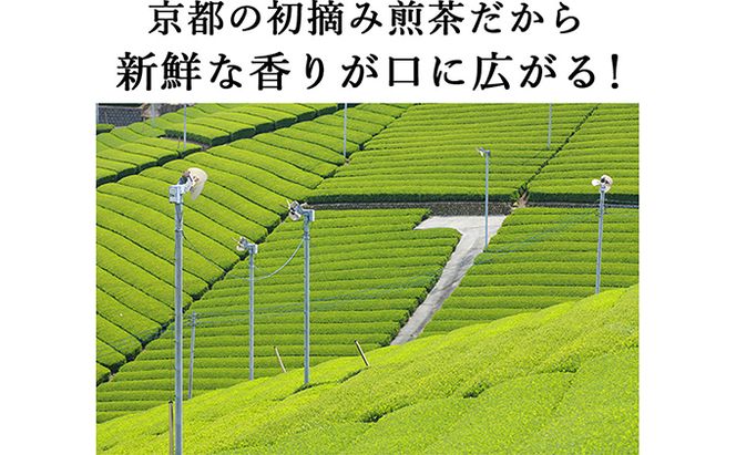桜皮茶筒と最高峰煎茶と玉露のセット　宇治茶の木谷製茶場 〈 煎茶 玉露 宇治茶 茶 お茶 緑茶 茶葉 お茶葉 最高峰 濃厚 最上級 高級 桜皮 セット 茶筒 保存缶 宇治 〉 加工食品 