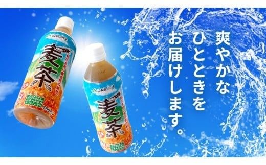 スピード発送!!【 JA 北つくば 】 JGAP認証 麦茶 1箱 ( 500ml × 24本 ) JGAP JA お茶 茶 ペットボトル 麦 大麦 二条大麦 ノンカフェイン カフェインゼロ スピード配送 [AE020ci]