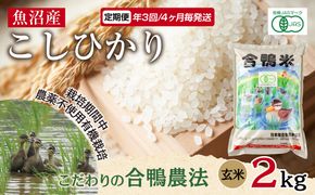 定期便 年3回 4か月毎 魚沼産 コシヒカリ 2kg あいがも農法 有機栽培米 玄米 米 お米 ご飯 胚芽 合鴨 ごんべい こしひかり 特A 人気 安全 お取り寄せ 送料無料 新潟県 十日町市 