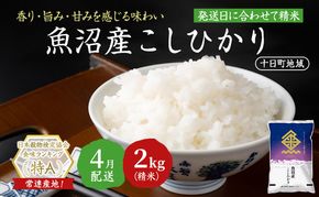 【令和7年産米】魚沼産こしひかり(十日町地域) 精米 2kg 4月配送 お米 精米 こめ ご飯 白米 旧：五郎兵衛