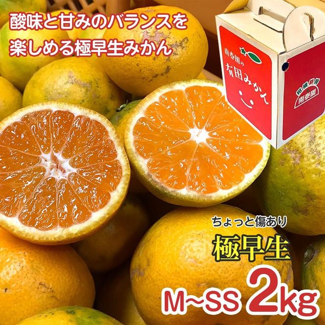 【 4年間 有田みかん 3種 食べくらべ ／ 全12回 】 ちょっと 傷あり 2kg × 3回 × 4年 コース 南泰園 みかん BS820-4ey