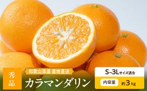 【2027年先行予約】和歌山県産 カラマンダリン 約3kg 秀品_ZE6500