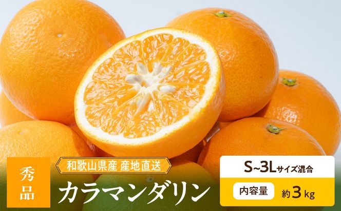 【2027年先行予約】和歌山県産 カラマンダリン 約3kg 秀品_ZE6500