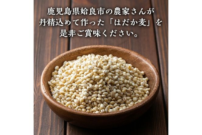 a713 数量限定！姶良市産はだか麦(計4kg・400g×10個)【竹之内穀類産業】