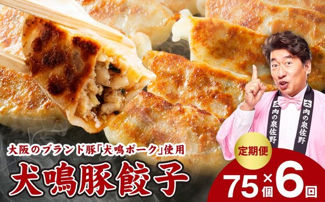 G5383 【泉佐野ブランド豚】犬鳴豚餃子 75個×6回【国産 豚肉 ぶたにく 定期便 犬鳴ポーク 焼くだけ 人気 総菜 冷凍】