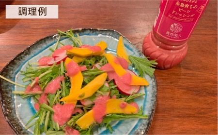 【全3回定期便】糸島 そだち の ビーツ ドレッシング （ 285ml × 1本 ）《糸島》【農香美人】 [AAG045] ドレッシング ボトル 栽培期間中 農薬不使用 野菜 ビーツ 糸島 定期便