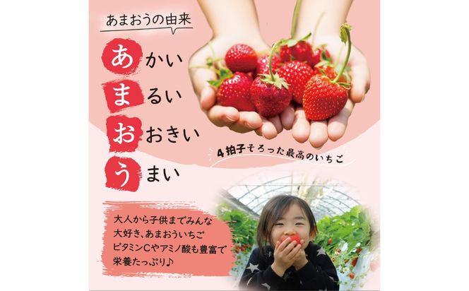 【全2回定期便】あまおう いちご 1080g（約270g×4パック）【2027年1月中旬より順次発送】《築上町》【株式会社HSP-テクノ】 いちご 苺 グランデ等級 果物 イチゴ[ABFG003]