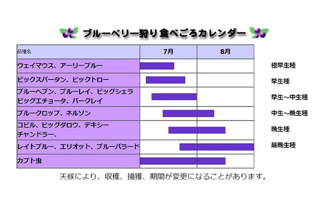 同時に楽しめる！ブルーベリー狩り・カブト虫狩り 長野県下最大級 体験チケット