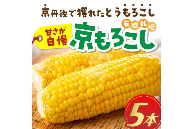 ＜てんとうむしばたけ＞有機とうもろこし5本　有機野菜 甘い 野菜 ふるさと納税 とうもろこし 期間限定 とうもろこしごはん かき揚げ 有機 オーガニック 産地直送 旬野菜 旬 コーン バター ペッパーランチ シャキシャキ 弾ける 丸ごと かぶりつきBR00029