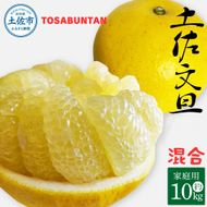 ＜2026年3月より順次発送＞土佐文旦 家庭用 10kg 17～24玉入り L～3Lサイズ混合