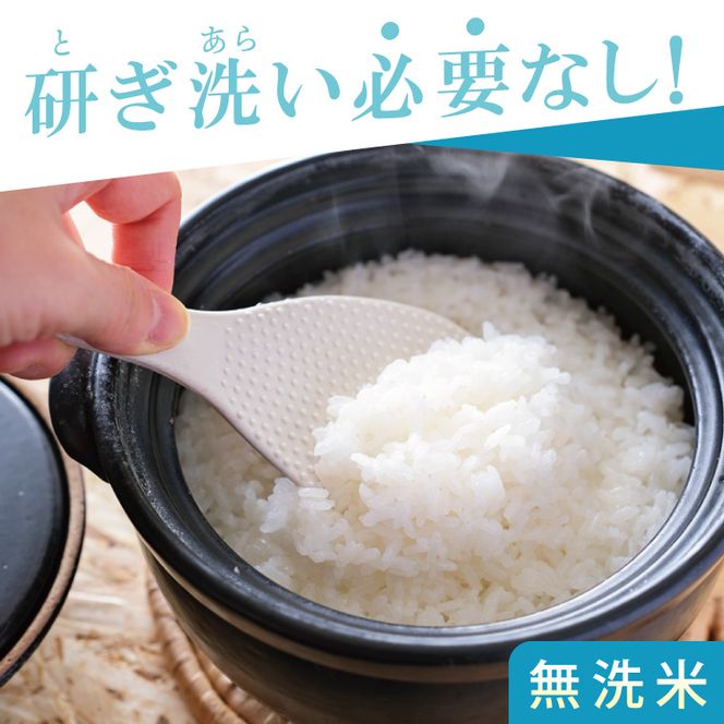 【数量限定】R7年産取手市産コシヒカリ 無洗米5kg|お米 米 こしひかり コシヒカリ  白米 無洗米 茨城県 取手市（BS005）