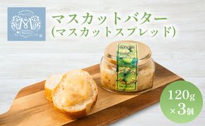 マスカット バター （ マスカット スプレッド ）120g×3個 乳製品 果物 ぶどう フルーツ 果物類 マスカットバター 